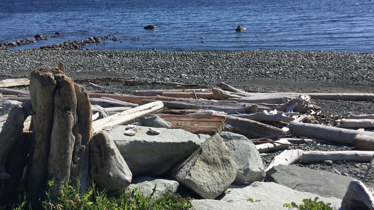 Photo of Others in Campbell River