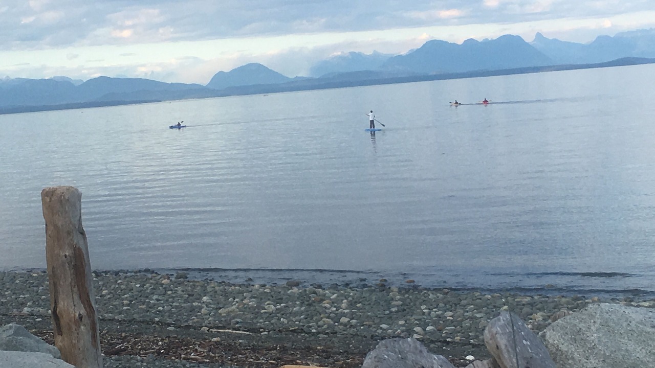 Photo of Others in Campbell River
