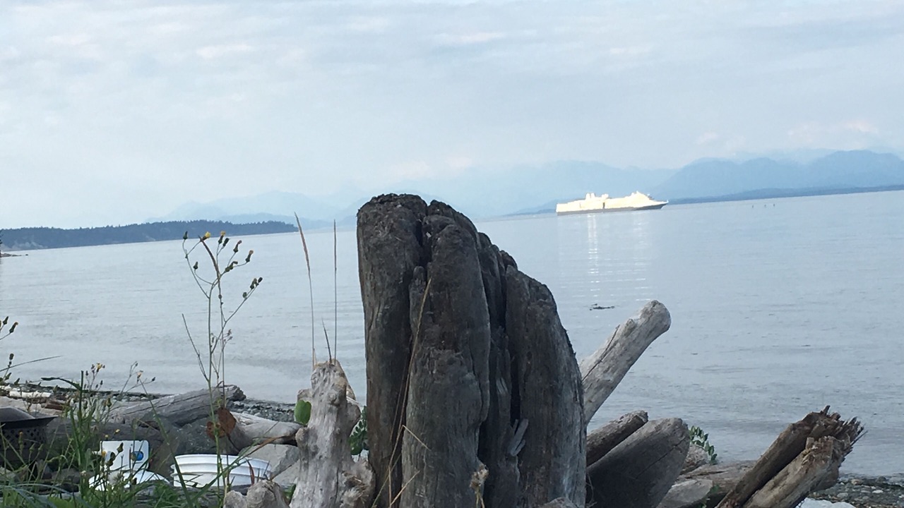 Photo of Others in Campbell River