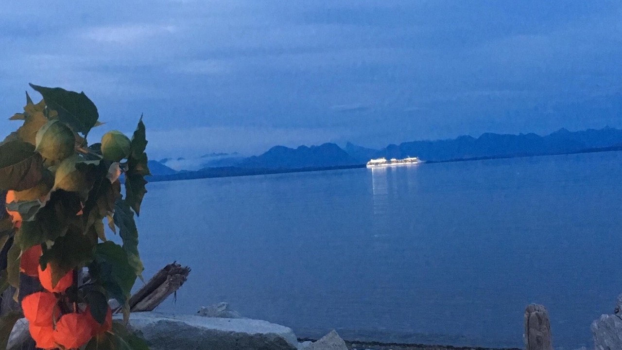 Photo of Outdoor in Campbell River