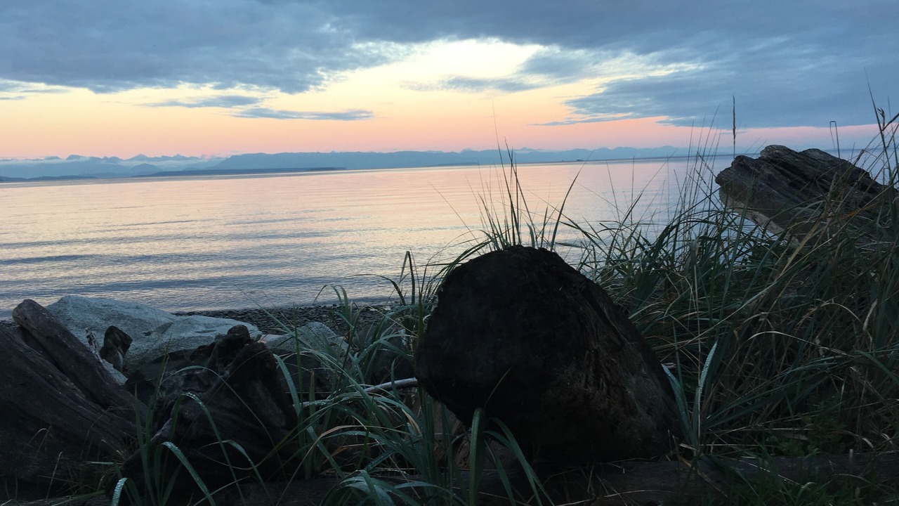 Photo of Others in Campbell River