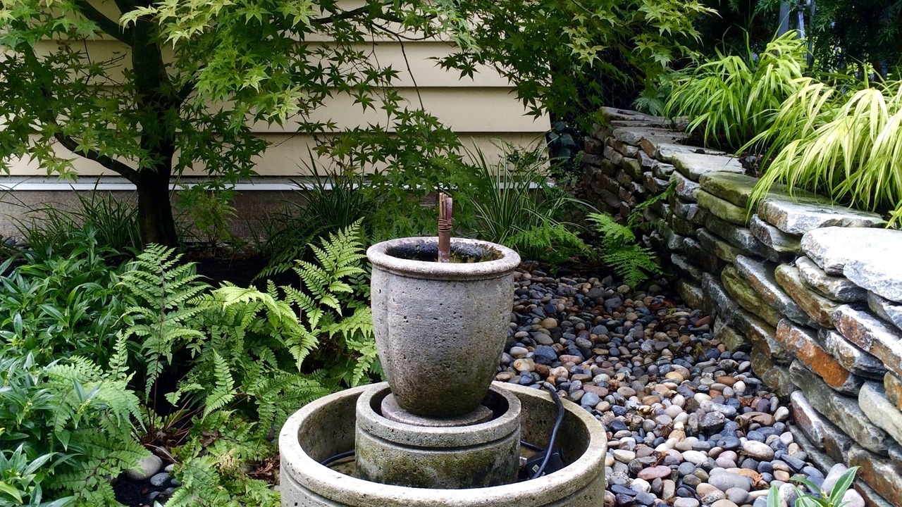 Photo of Outdoor in Riley Park-Little Mountain