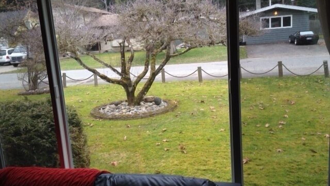 Photo of Bedroom in Cultus Lake