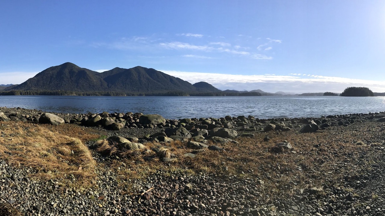 Photo of Others in Tofino