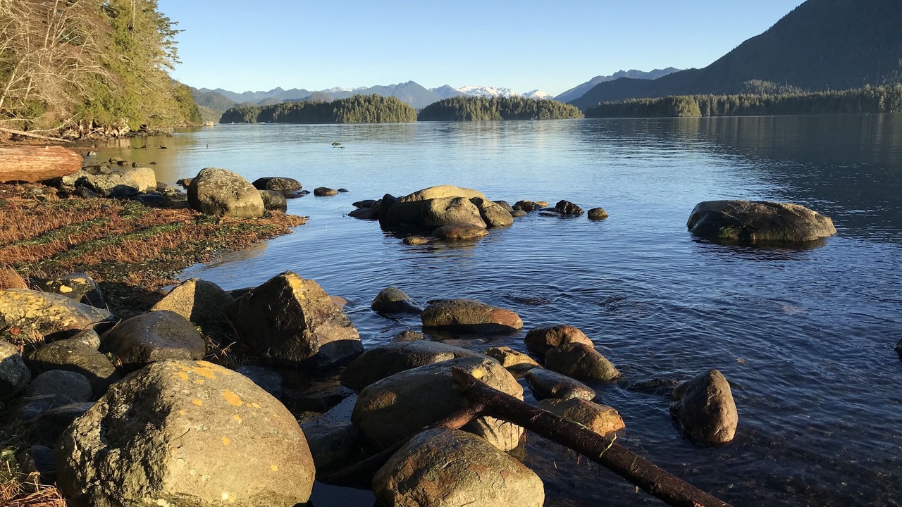 Photo of Others in Tofino
