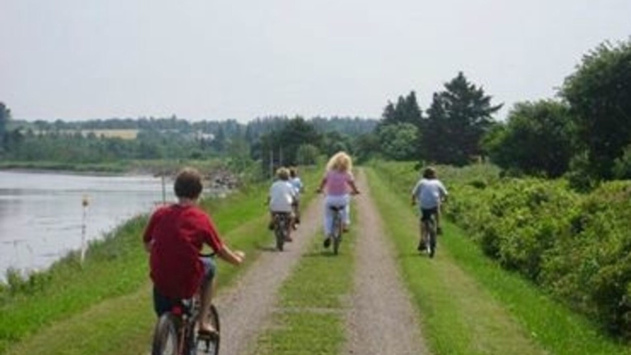 Photo of Others in Morell