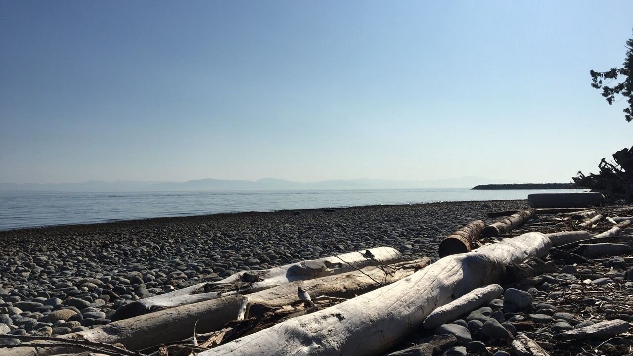 Photo of Others in Roberts Creek