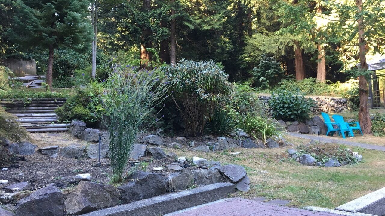 Photo of Outdoor in Roberts Creek