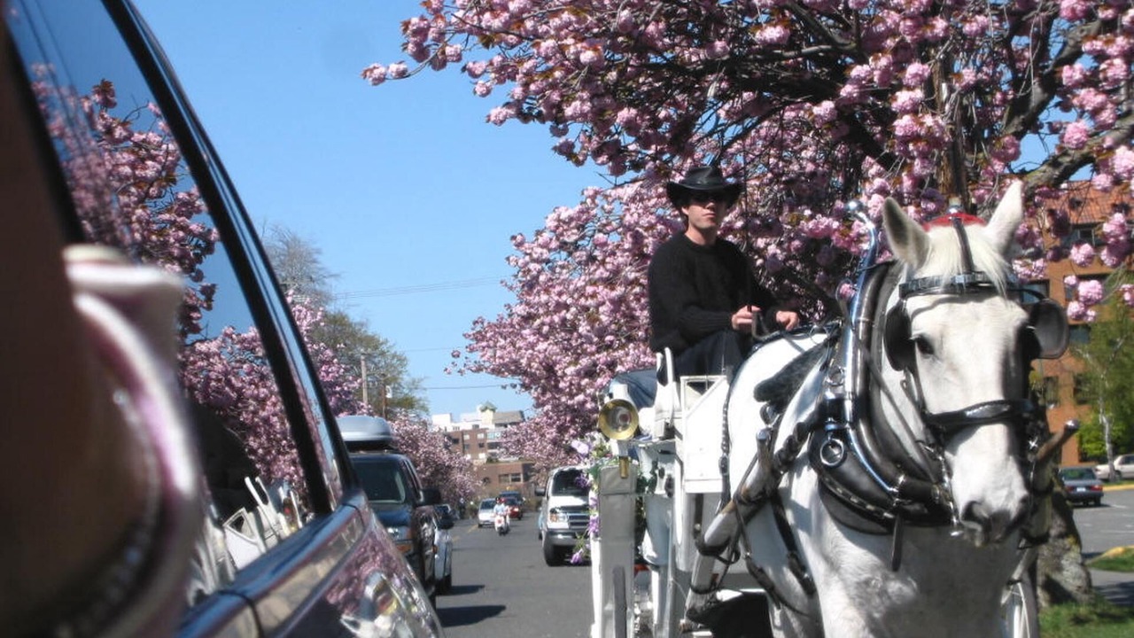 Photo of Others in Downtown Victoria