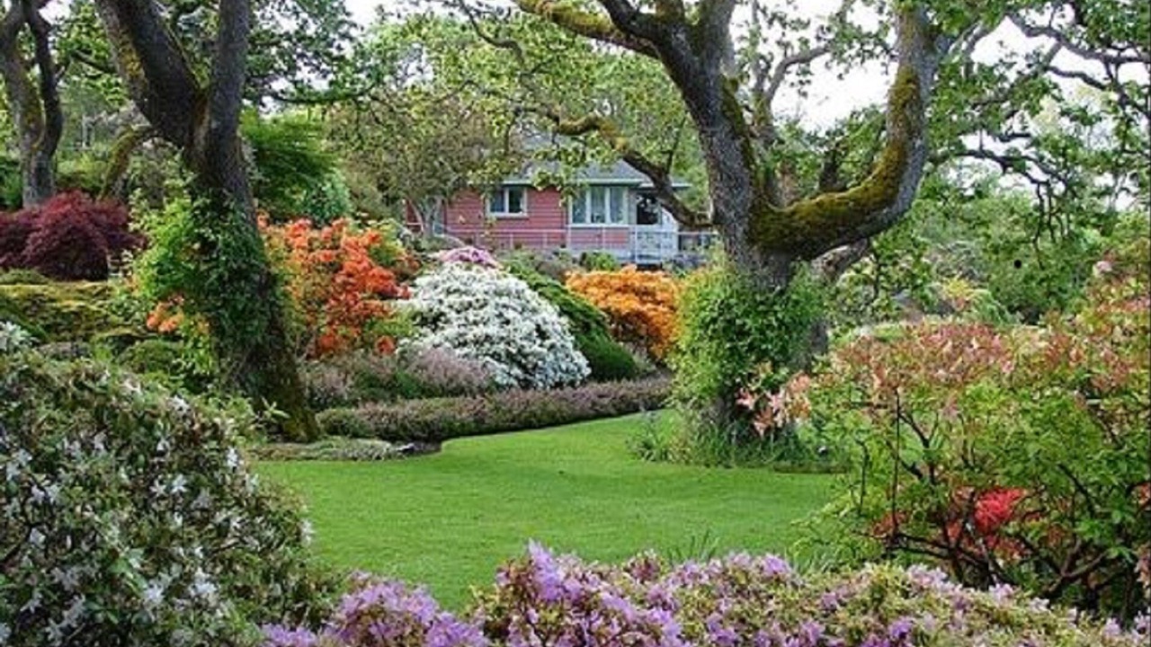 Photo of Outdoor in Downtown Victoria
