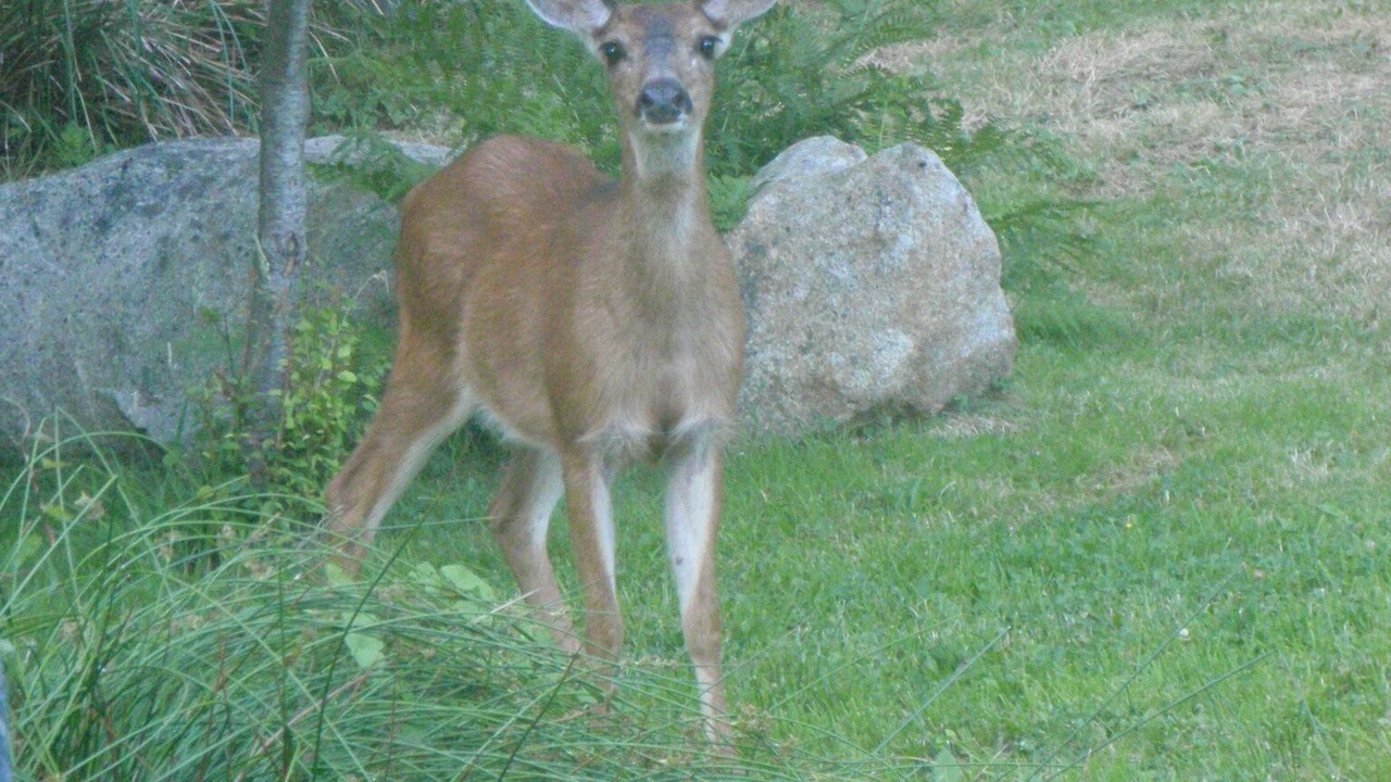 Photo of Outdoor in Halfmoon Bay