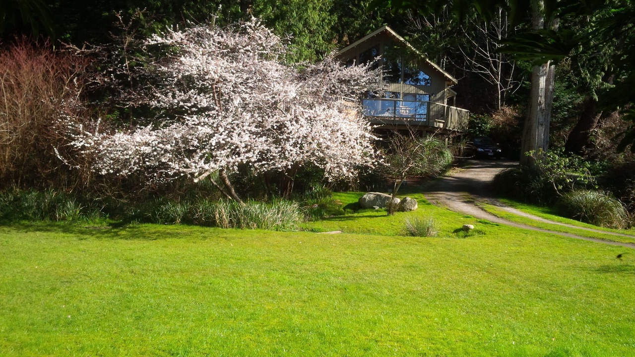 Photo of Outdoor in Halfmoon Bay