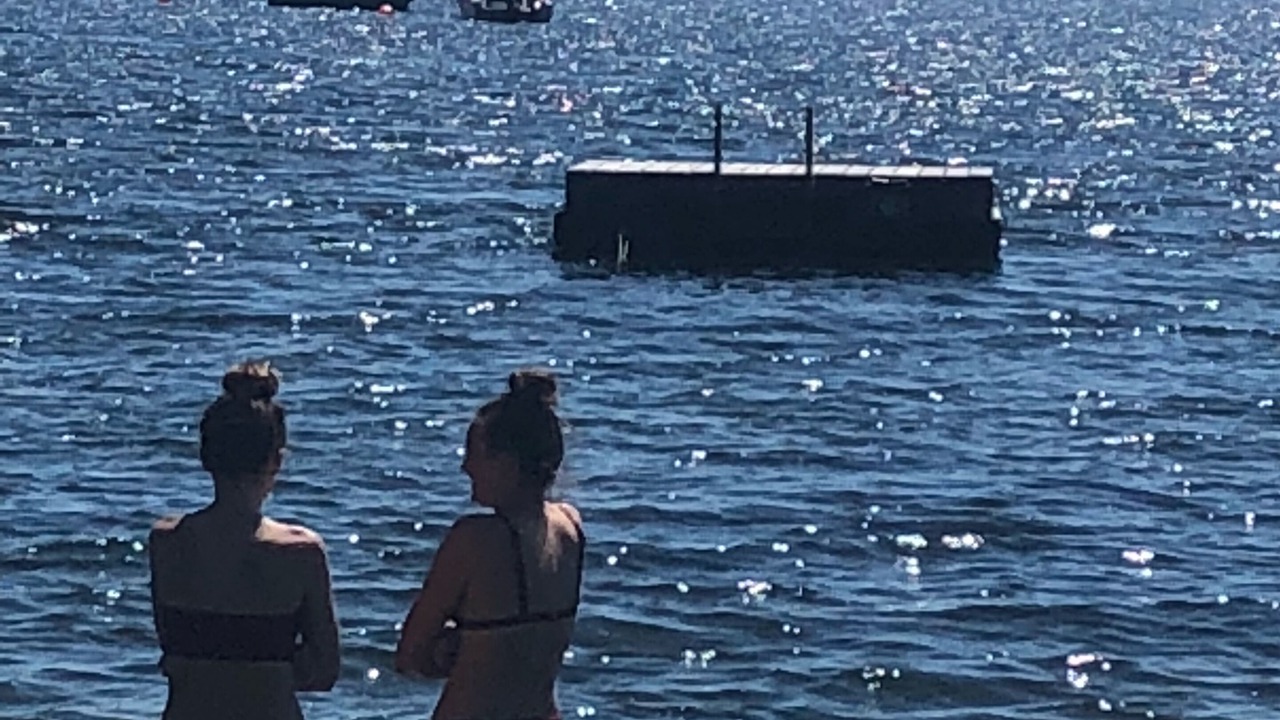 Photo of Others in Halfmoon Bay