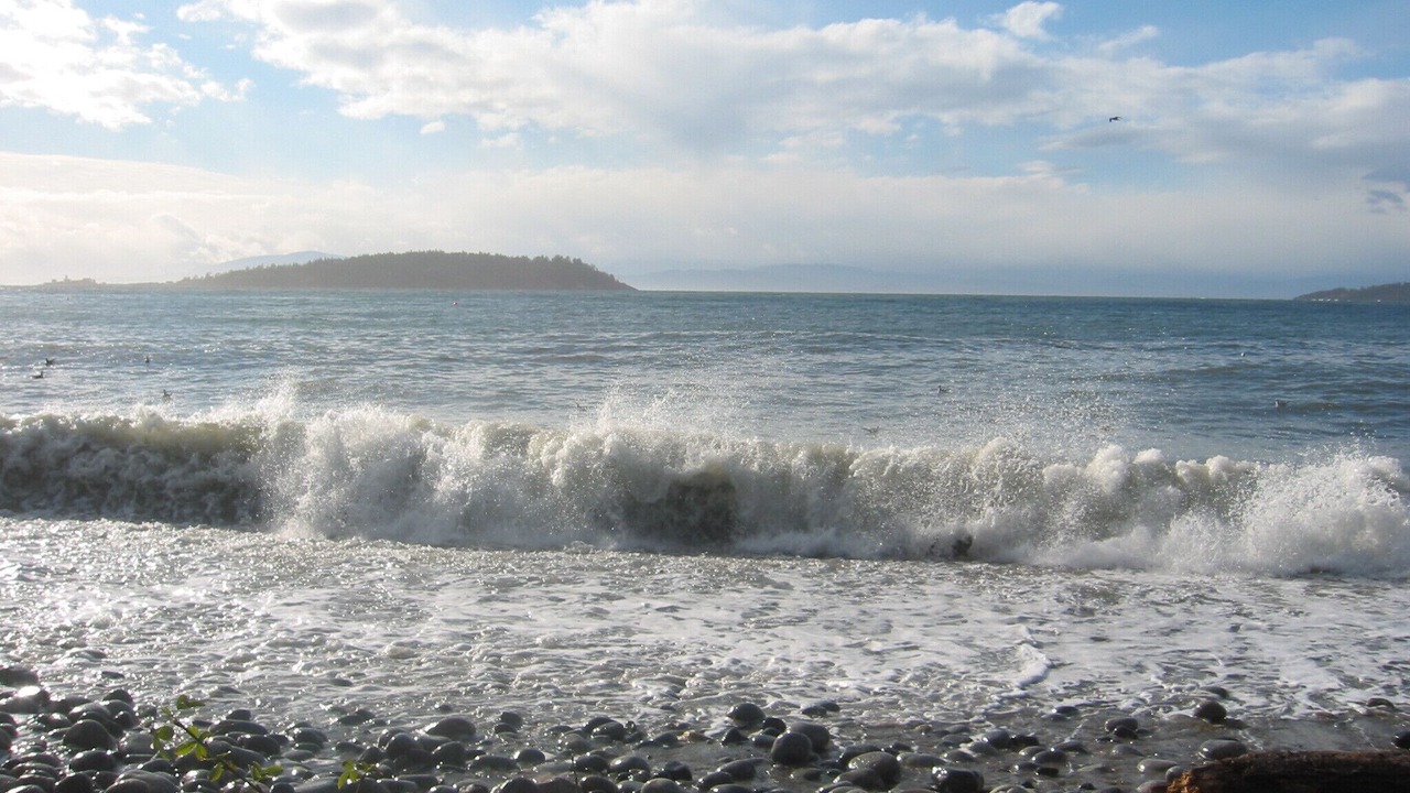 Photo of Others in Halfmoon Bay