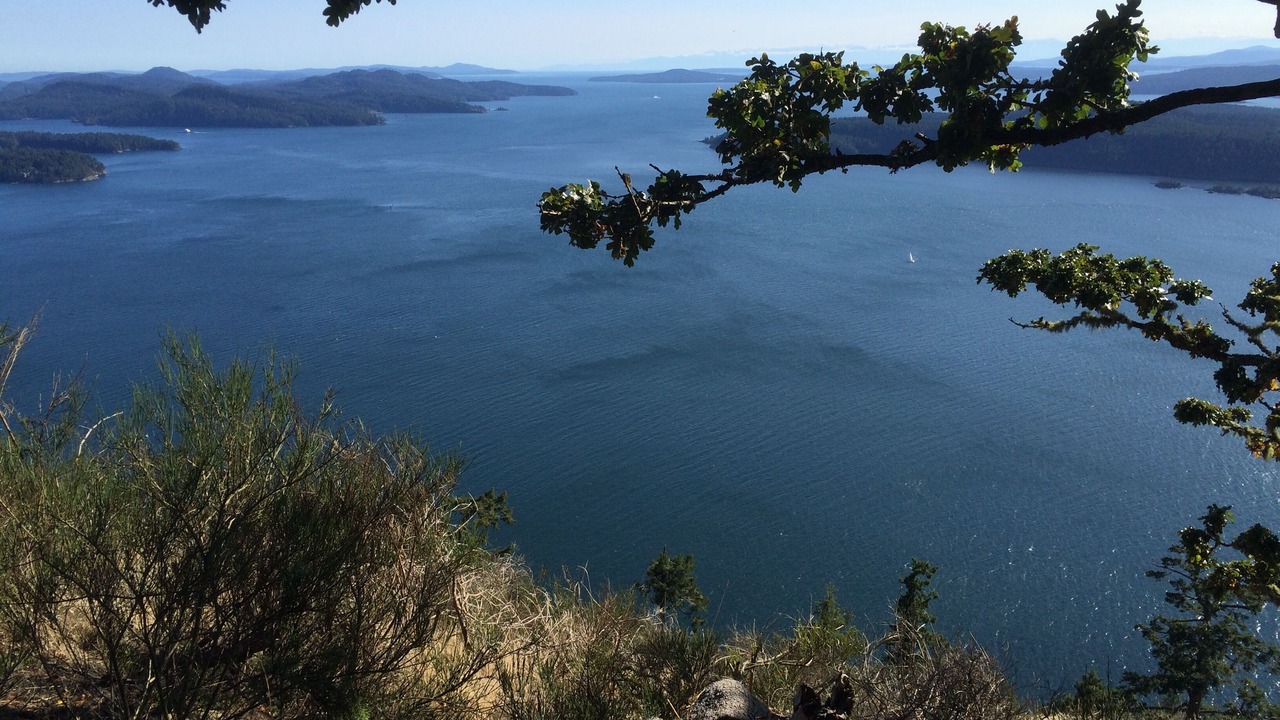 Photo of Others in Galiano