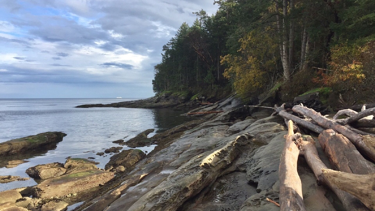 Photo of Others in Galiano