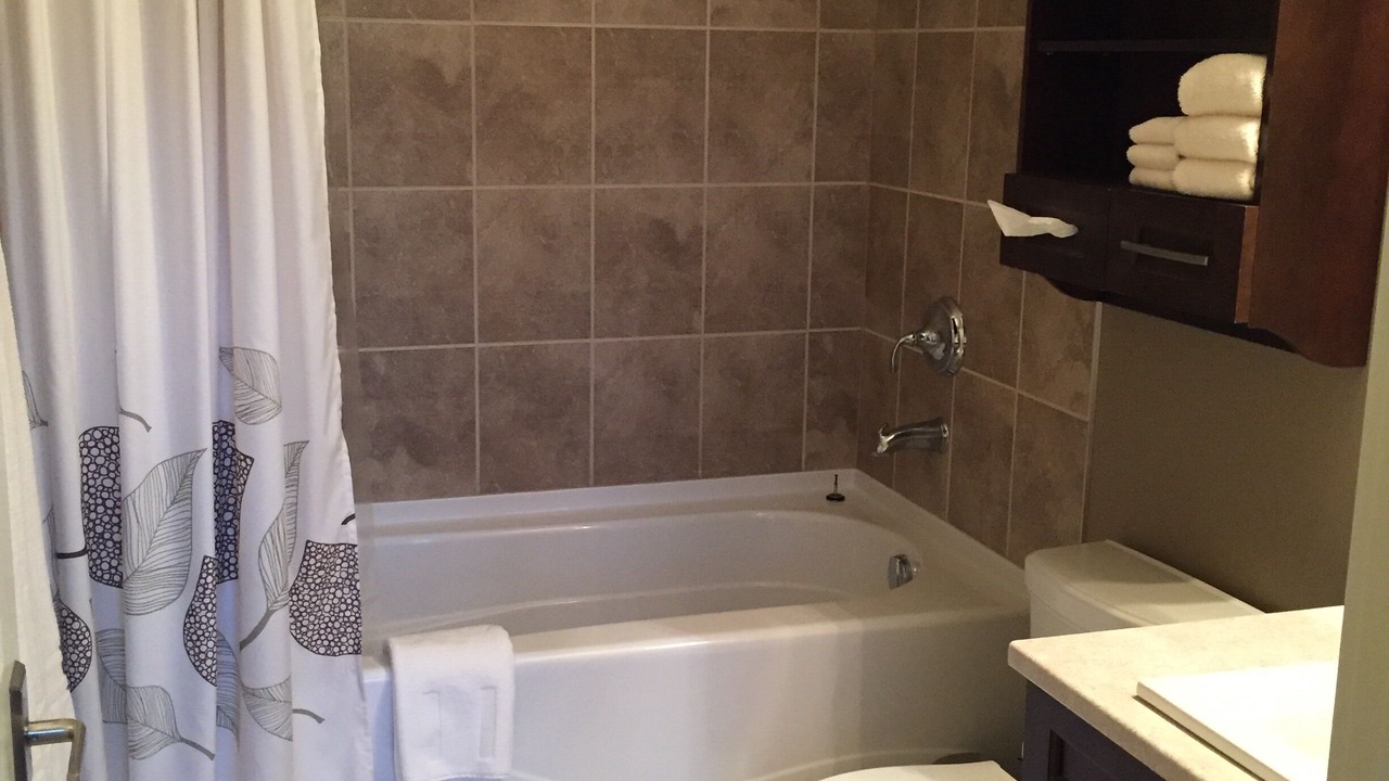 Photo of Bathroom in Bear Mountain Resort
