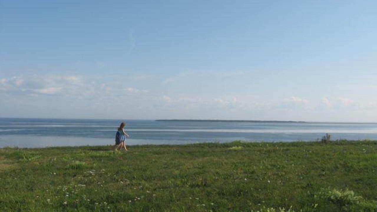 Photo of Others in Fairview