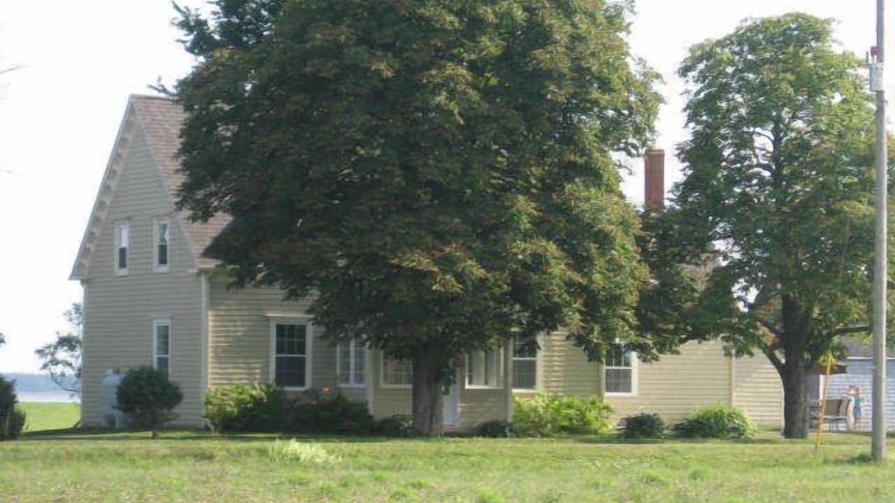 Photo of Others in Fairview