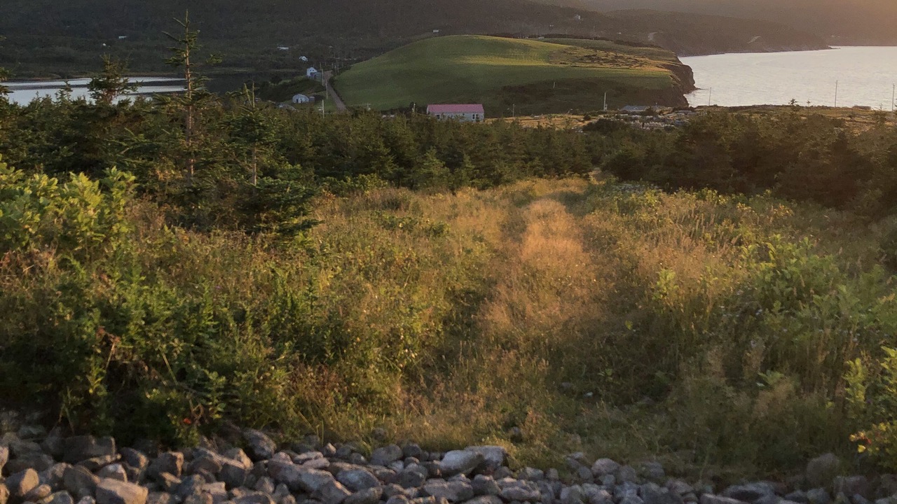Photo of Others in Bay Saint Lawrence