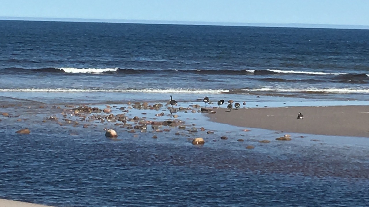 Photo of Others in Bay Saint Lawrence