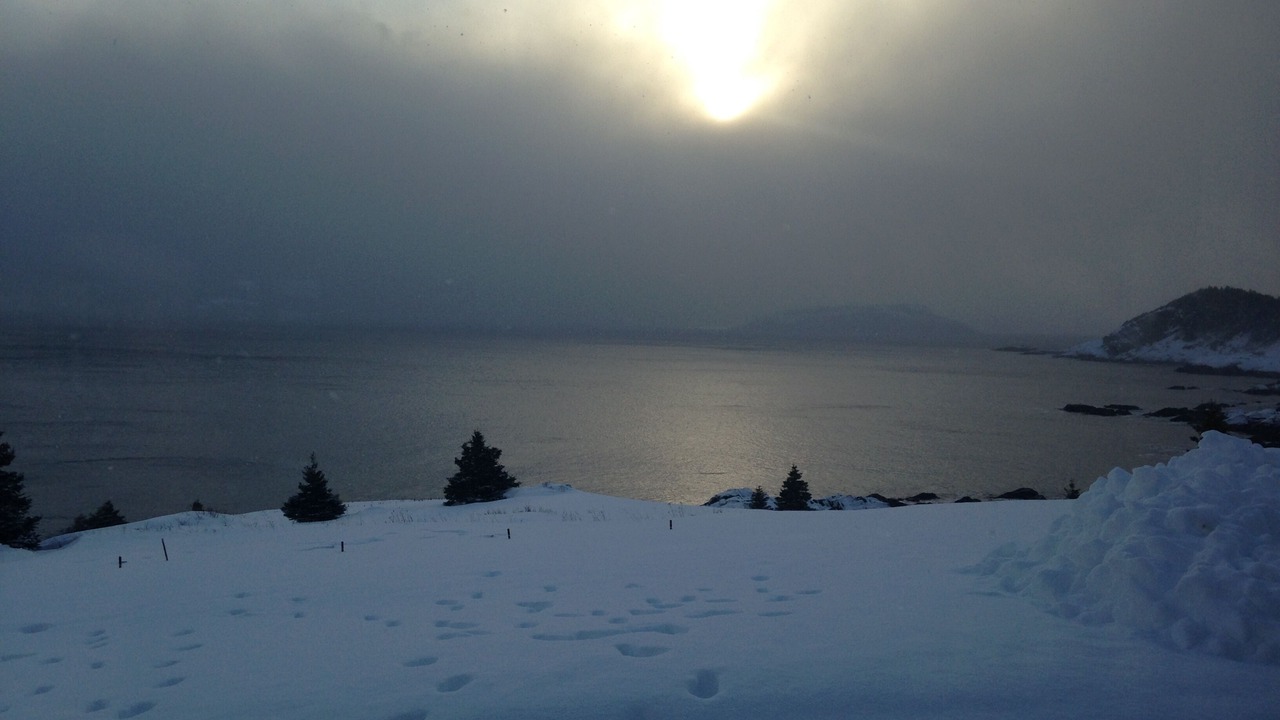 Photo of Others in Tors Cove