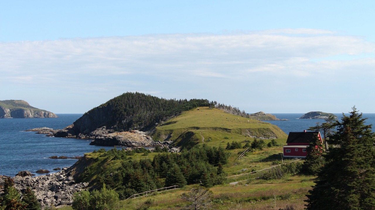 Photo of Others in Tors Cove