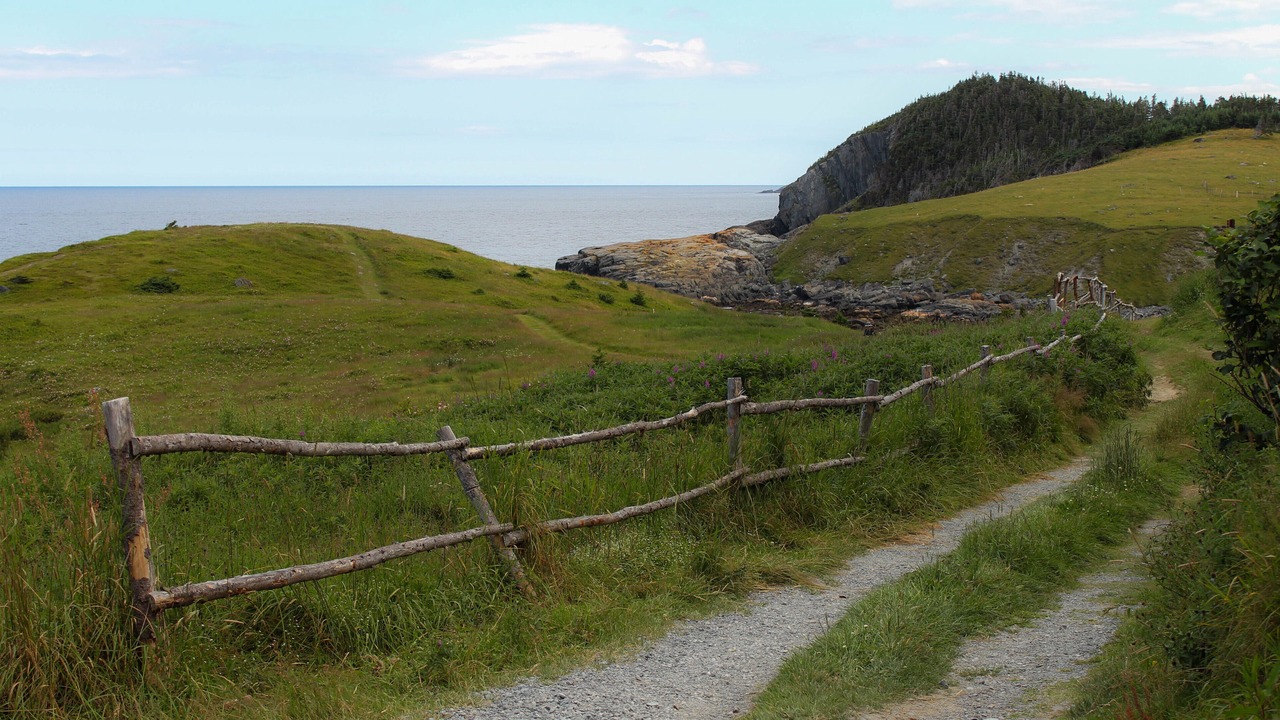 Photo of Outdoor in Tors Cove