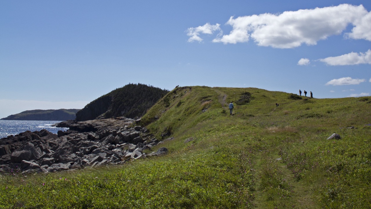 Photo of Others in Tors Cove