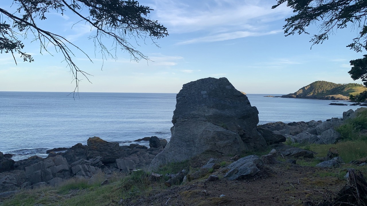 Photo of Others in Tors Cove