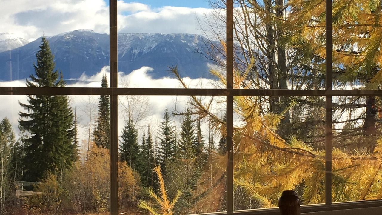 Photo of Bedroom in Golden