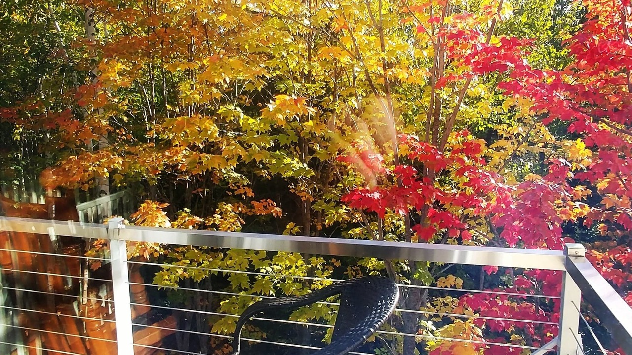 Photo of Outdoor in Petite-Riviere-Saint-Francois