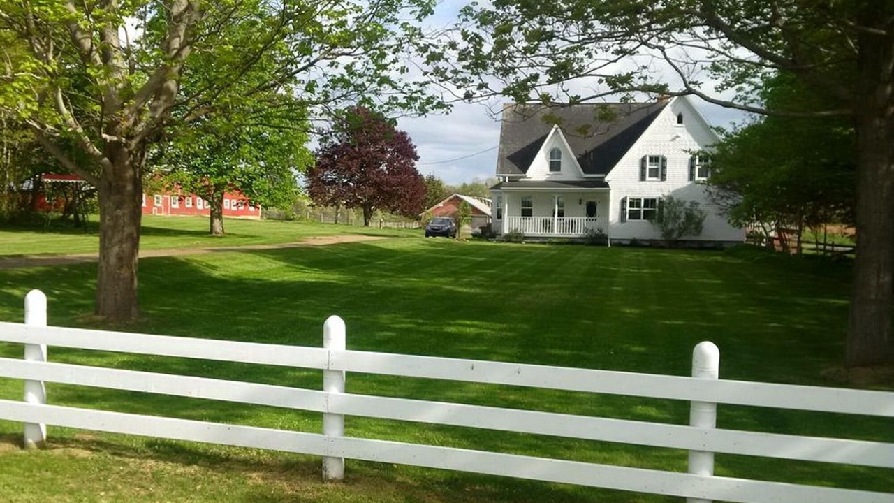 Photo of Outdoor in West Covehead
