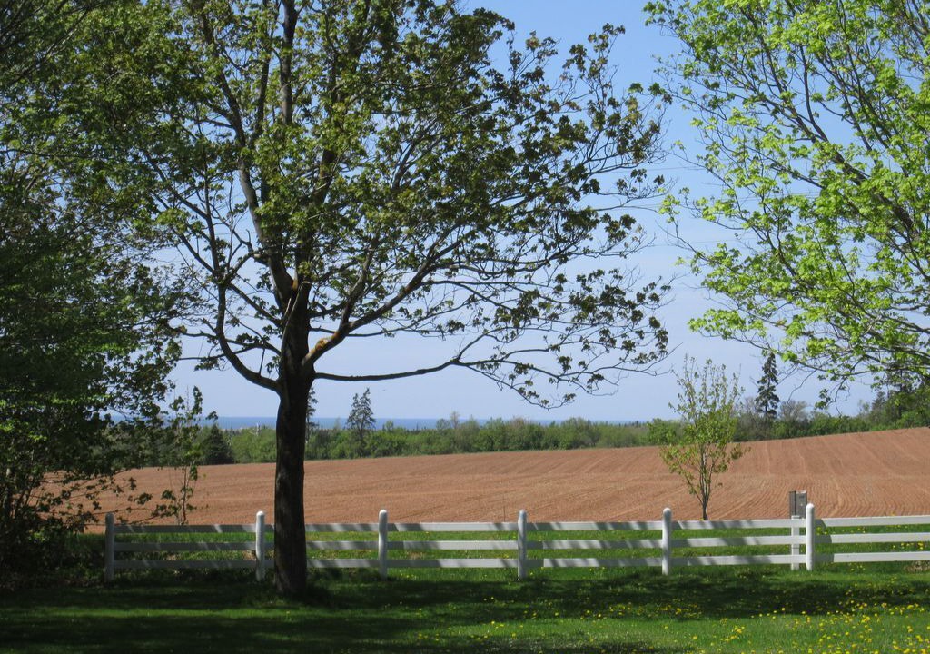 Photo of Outdoor in West Covehead
