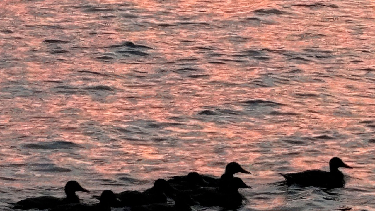 Photo of Others in Drummond-North Elmsley