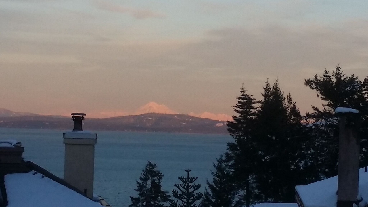Photo of Others in Cordova Bay