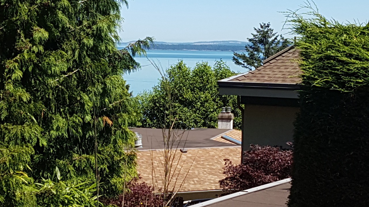 Photo of Others in Cordova Bay
