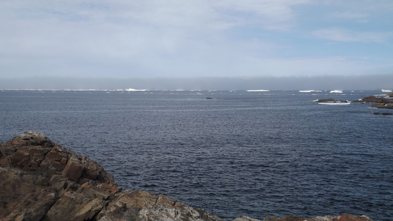 Photo of Others in Bonavista