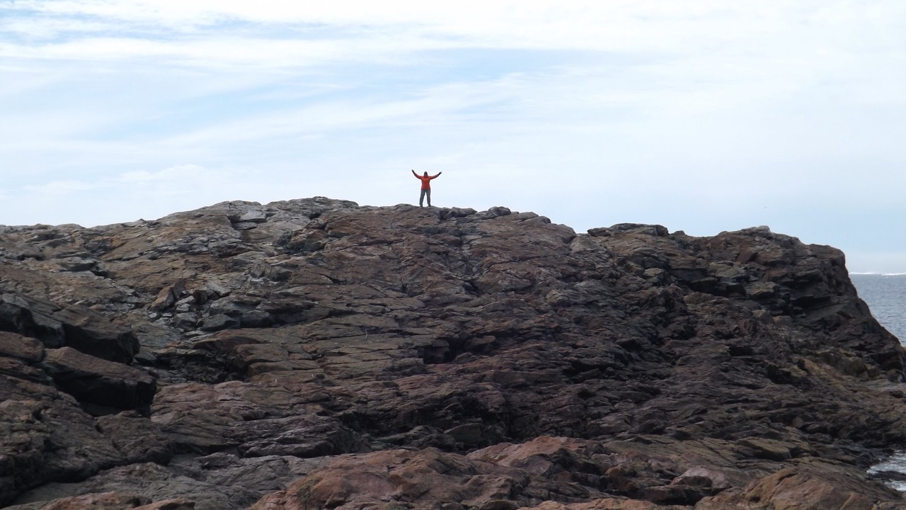 Photo of Others in Bonavista