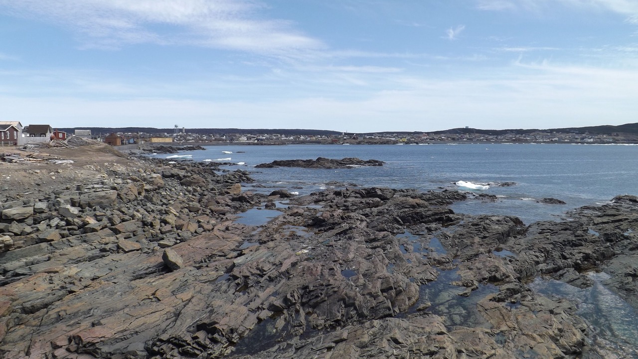 Photo of Others in Bonavista