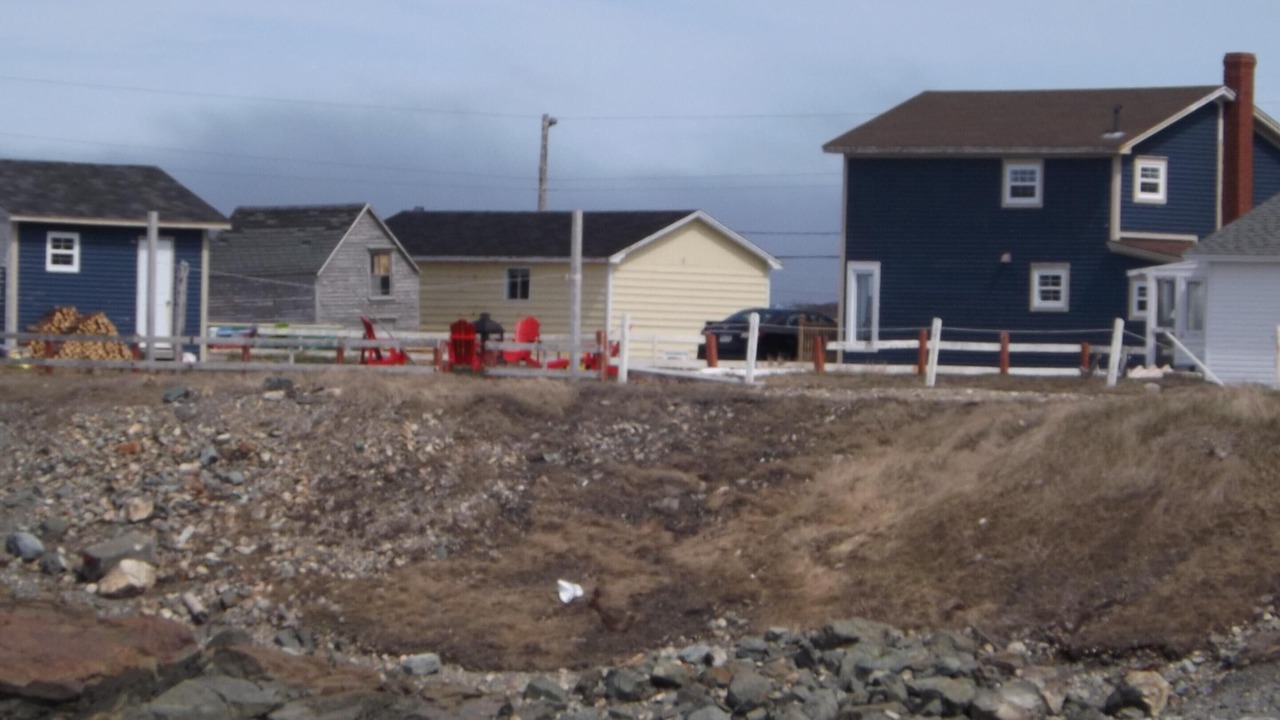 Photo of Others in Bonavista