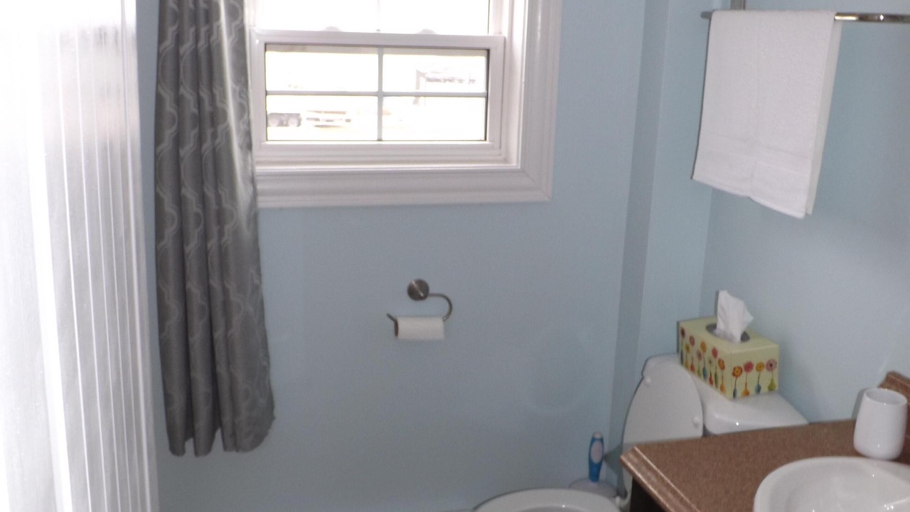 Photo of Others in Bonavista