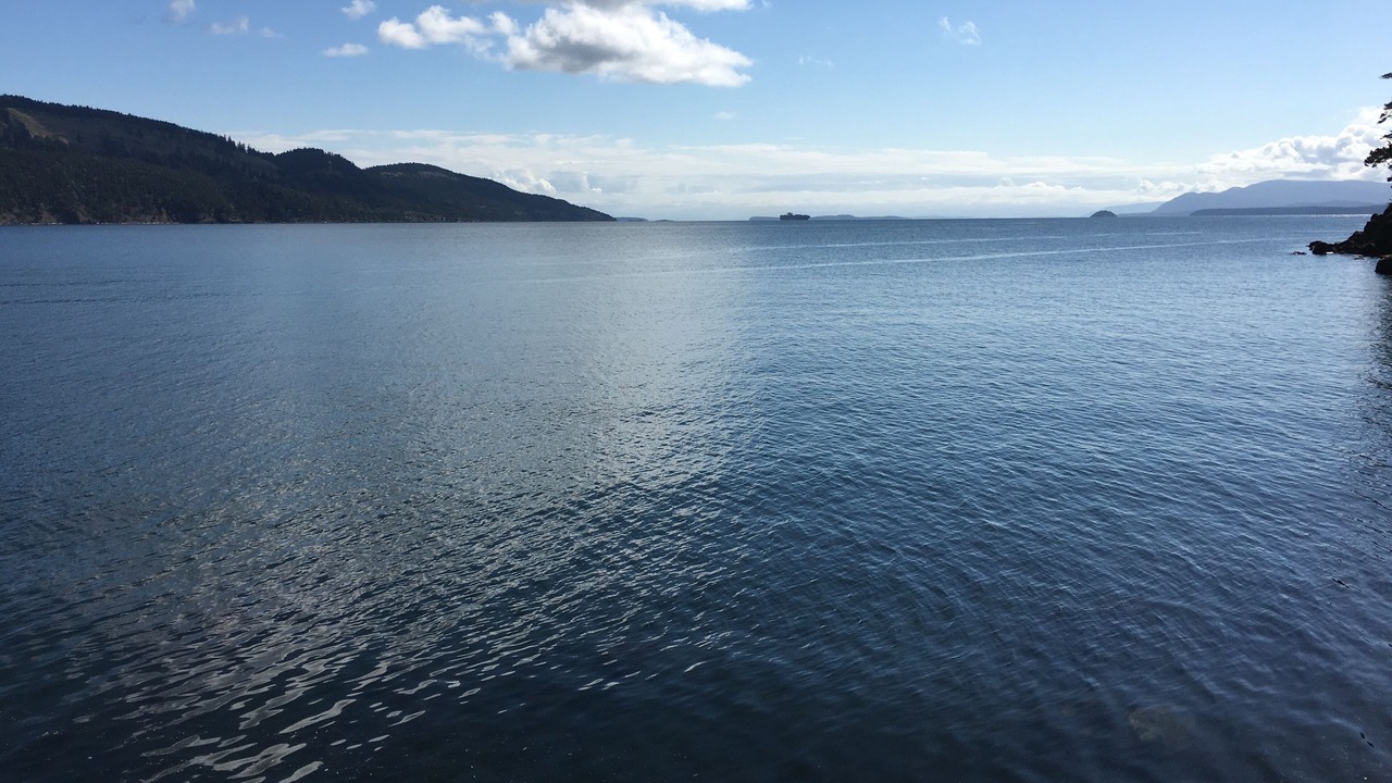 Photo of Others in Pender Island