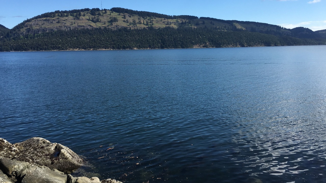 Photo of Others in Pender Island
