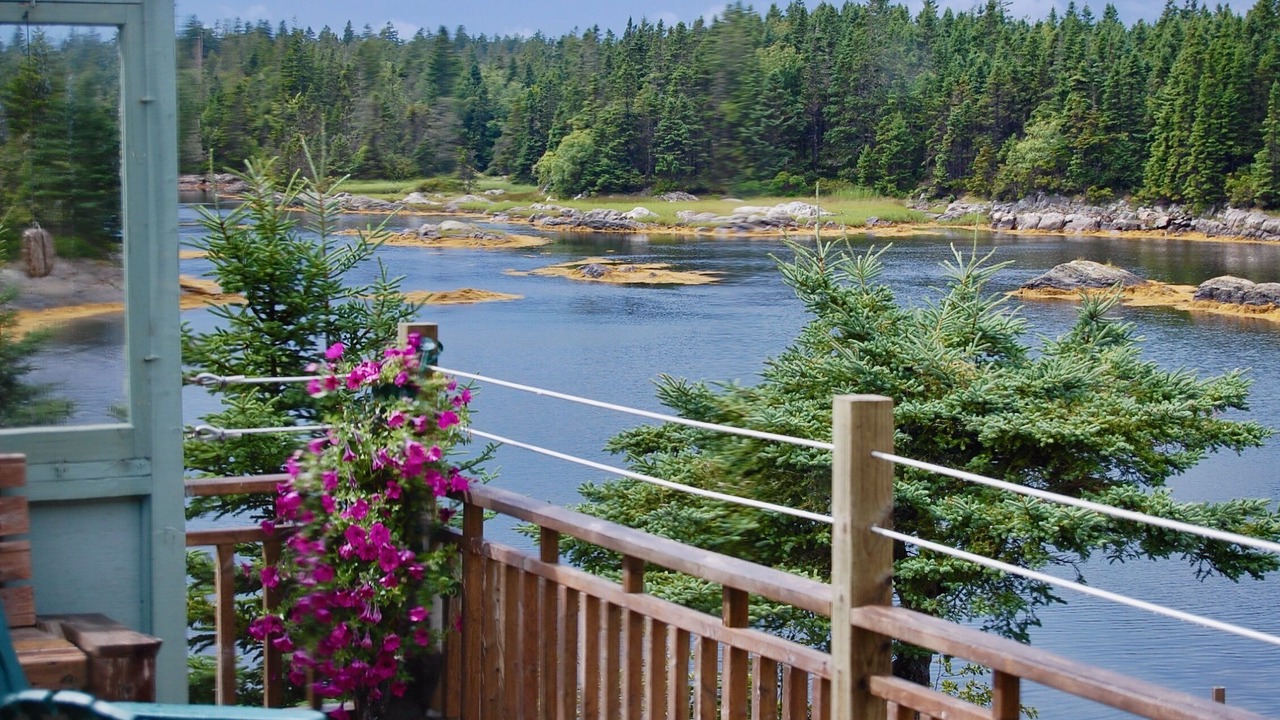 Photo of Others in LaHave