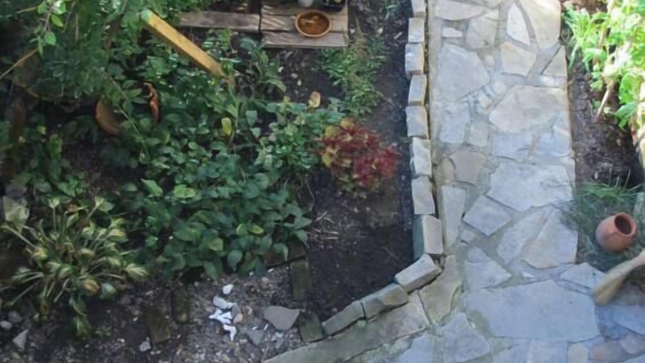 Photo of Outdoor in Angus