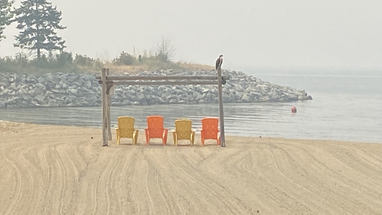 Photo of Others in North End