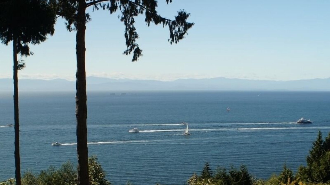 Photo of Others in Halfmoon Bay