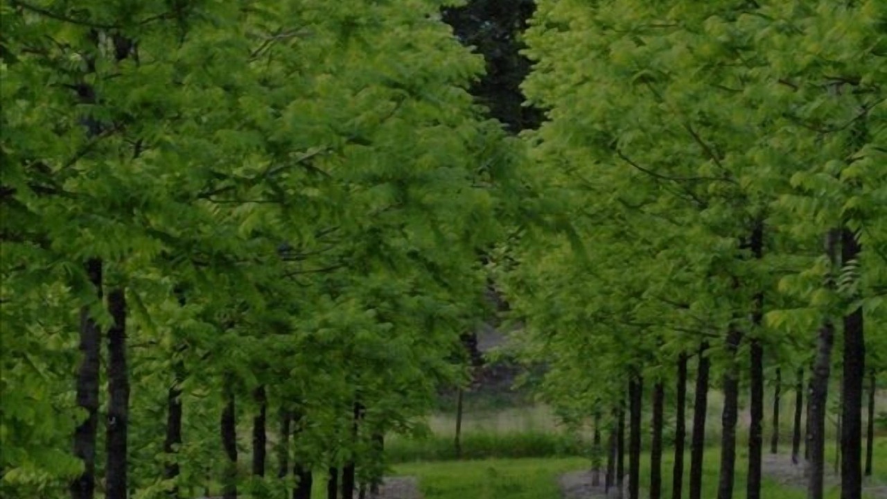 Photo of Others in Central Okanagan