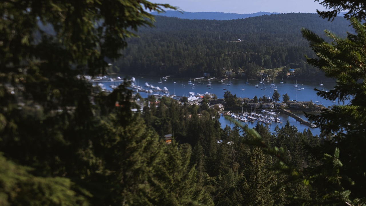 Photo of Others in Salt Spring Island